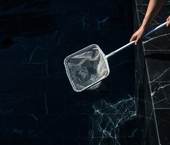 poolreinigung-kescher-wartungsguide